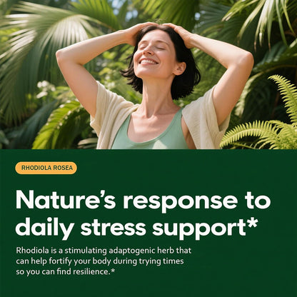 Rhodiola Rosea Extract