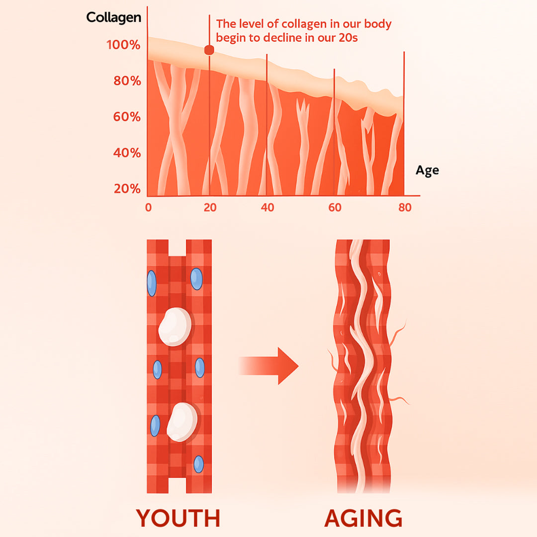 PureNutra® Provitalize